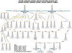 Network-Map--Manado-Bitung-Tomohon-Sitaro-Talaud-Ternate-Tobelo.jpg